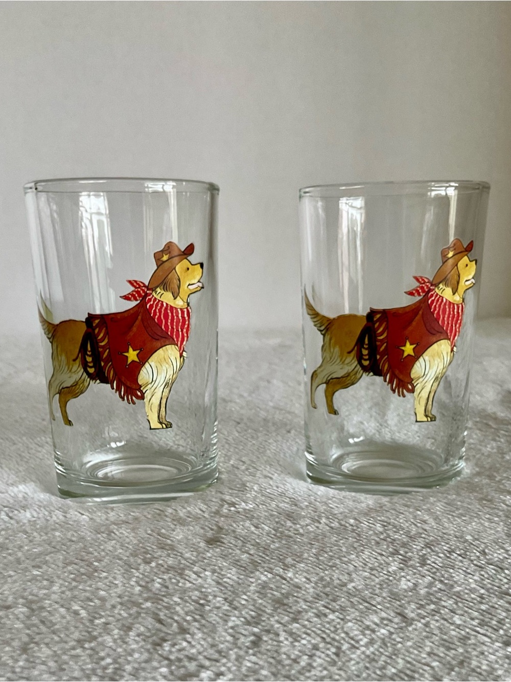 Cute PIER 1 Set of Two Glasses Picturing Golden Retriever in Cowboy Outfit